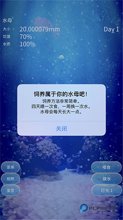 养育水母的治愈游戏中文版