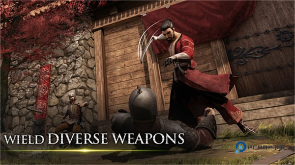 忍者武士隆汉化版