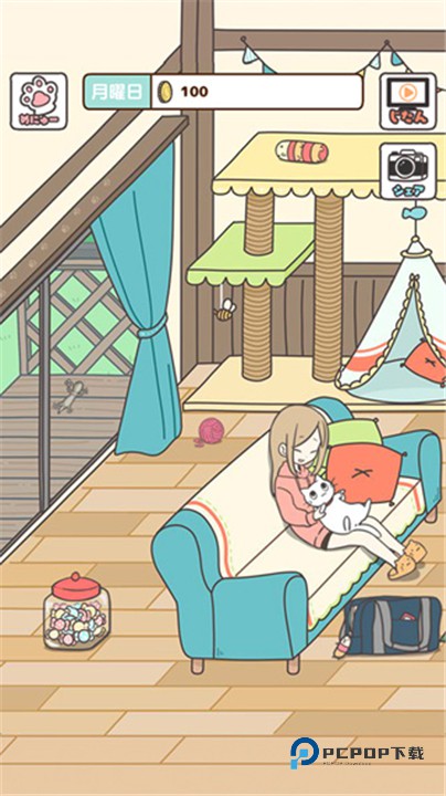 猫咪饲养日常中文版