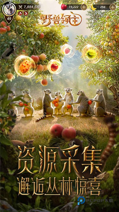 野兽领主国际服