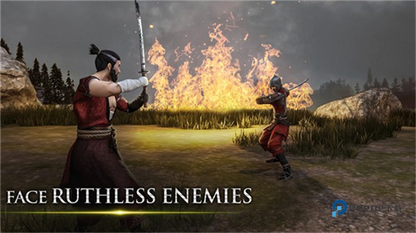 忍者武士隆汉化版