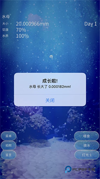 养育水母的治愈游戏中文版