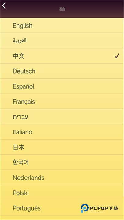 网络天才中文版