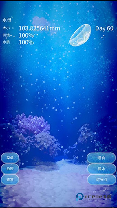 养育水母的治愈游戏中文版