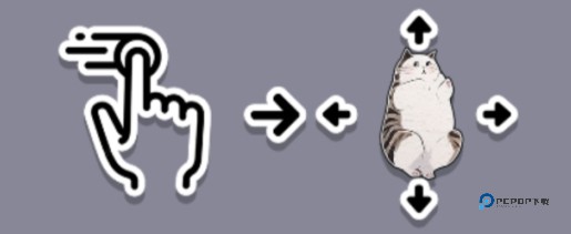 挤在一起的兔兔