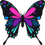 流星蝴蝶剑游戏