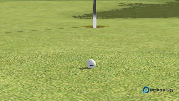 高尔夫之王世界巡回赛