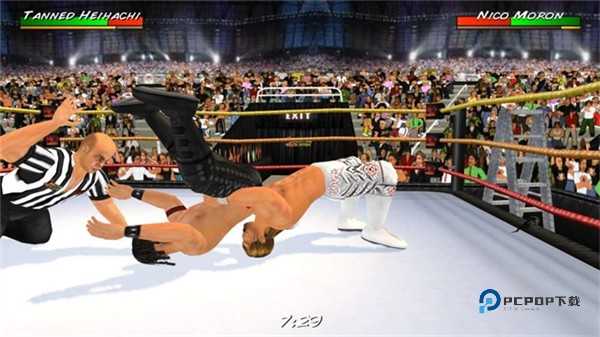 摔跤革命3d汉化版