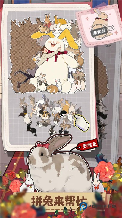 挤在一起的兔兔