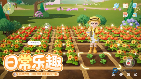 心动小镇官方版