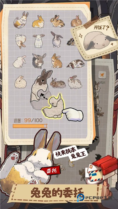 挤在一起的兔兔