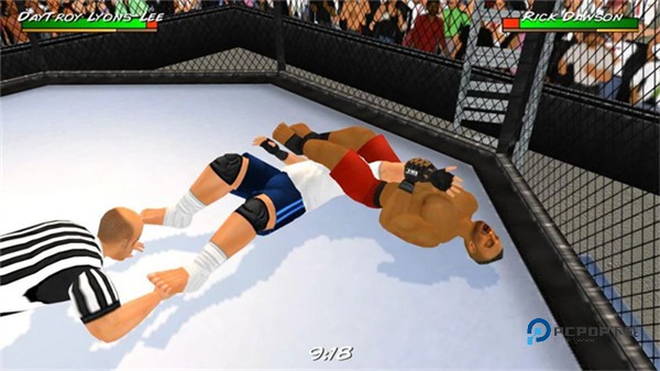 摔跤革命3d汉化版