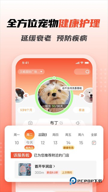 宠物家app