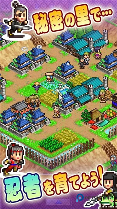 合战忍者村旧版