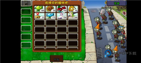 植物娘大战僵尸最新版本庄不纯手机版 v0.8.1安卓版