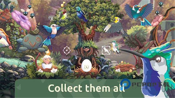 鸟类世界官方版 v1.44安卓版