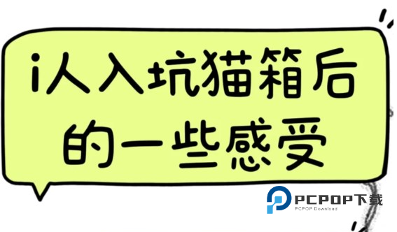 猫箱ai聊天app下载2026官方最新版v1.98.0安卓最新版