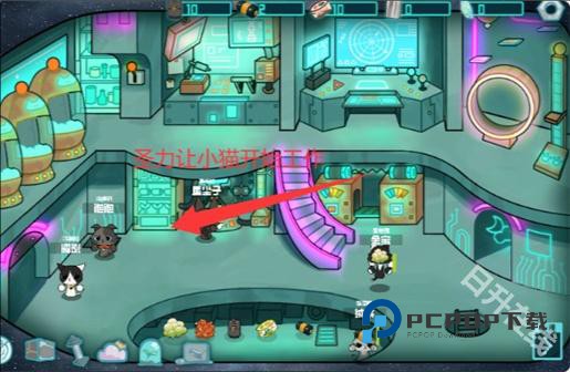 卵生猫之星际海贼团