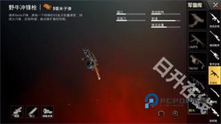 刺激战场国际服PUBG