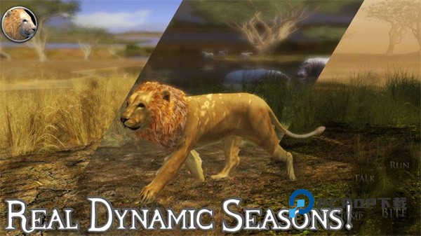 终极狮子模拟器2手游最新版