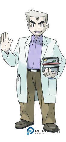 口袋妖怪叶绿版