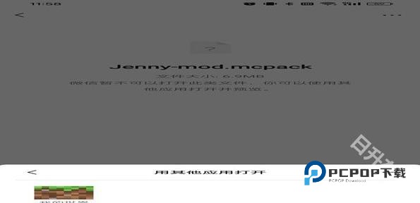 我的世界珍妮冒险