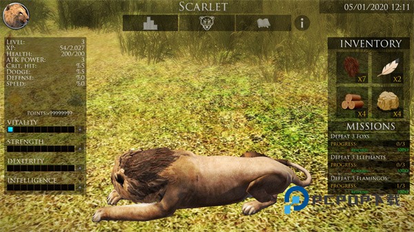 终极狮子模拟器2手游最新版