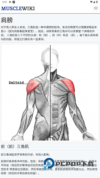 musclewiki安卓app下载官方2026最新版v3.0.9手机版