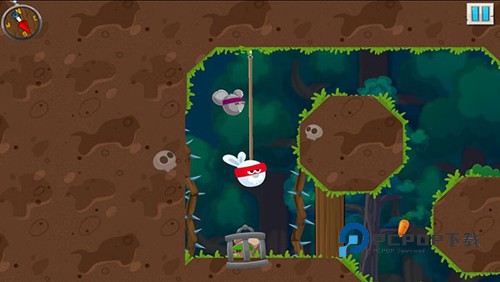 兔子武士手游最新版