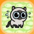 冒险猫手游最新版