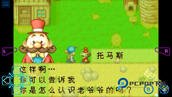 牧场物语矿石镇的伙伴们