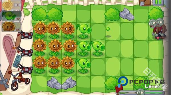 植物大战僵尸Dn版