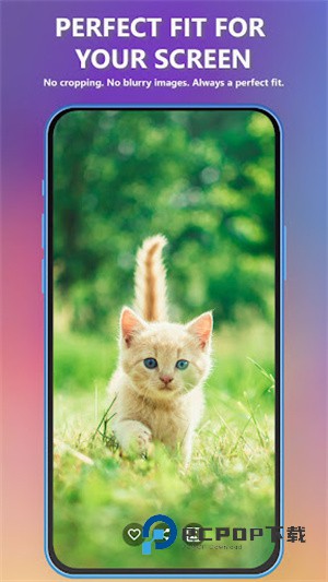 可爱小猫壁纸app下载-可爱小猫壁纸(Kitten Wallpapers)手机版下载v2.3.6 可爱小猫壁纸app下载-可爱小猫壁纸(Kitten Wallpapers)手机版下载v2.3.6