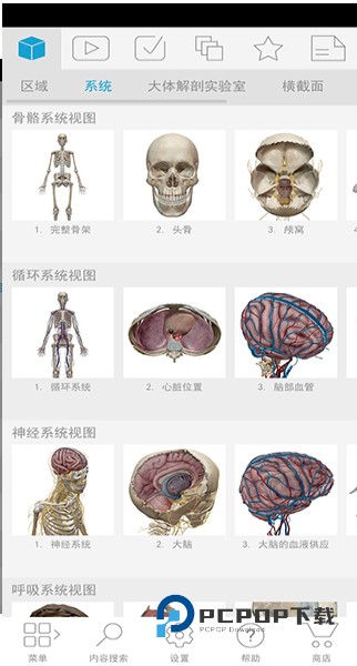 人体解剖学图谱