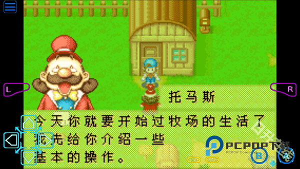 牧场物语矿石镇的伙伴们