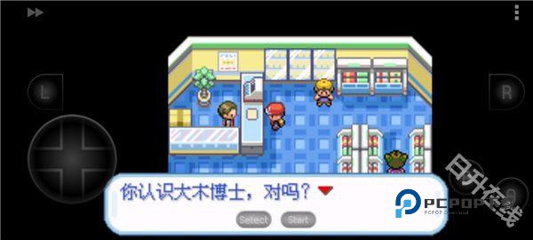 口袋妖怪叶绿版