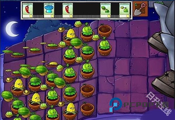 PLANTS VS ZOMBIES