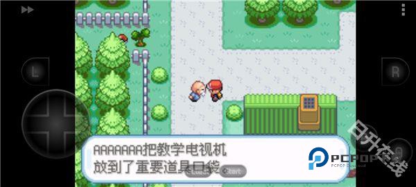 口袋妖怪叶绿版