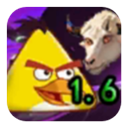 我的鸟随机免费安装 v1.63安卓版