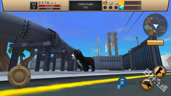 最新的ZOOM动物马