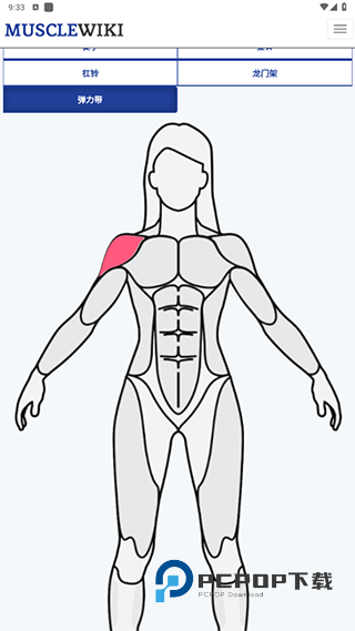 musclewiki安卓app下载官方2026最新版v3.0.9手机版
