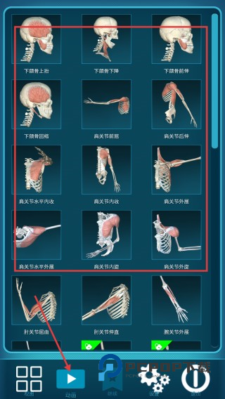 人体解剖学图谱