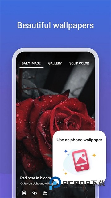 必应浏览器国际版