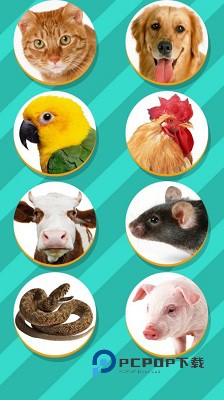 动物语言翻译器中文版