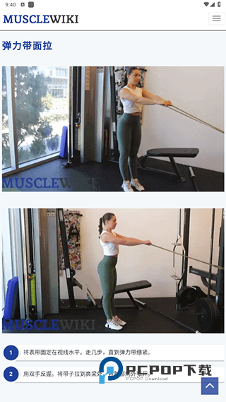 musclewiki安卓app下载官方2026最新版 musclewiki安卓app下载官方2026最新版