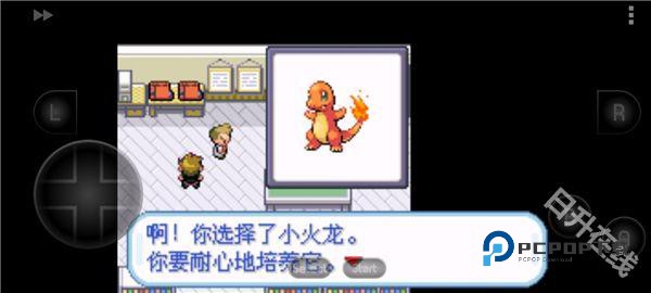 口袋妖怪叶绿版