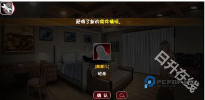 口袋侦探2汉化版