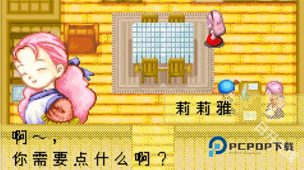 牧场物语矿石镇的伙伴们