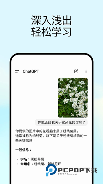ChatGPT手机版