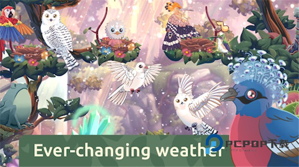 鸟类世界官方版 v1.44安卓版